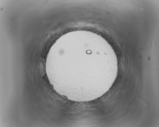 X0000077401493200611172051