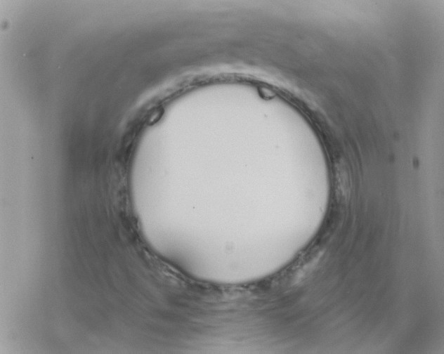 X0000077401494200611172051