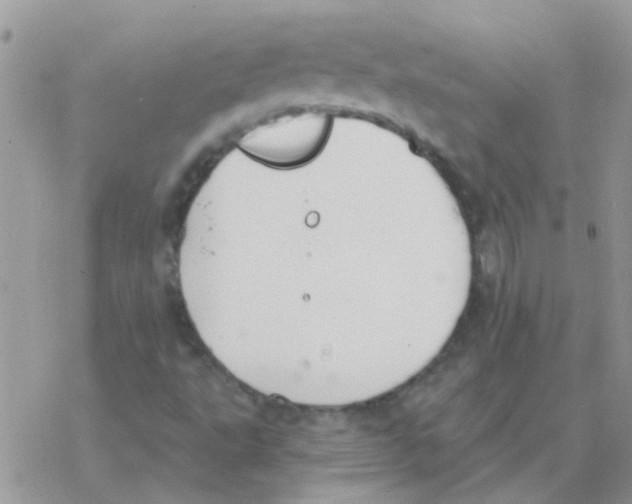 X0000077401495200611172051