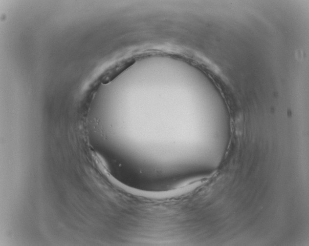 X0000077401496200611172051