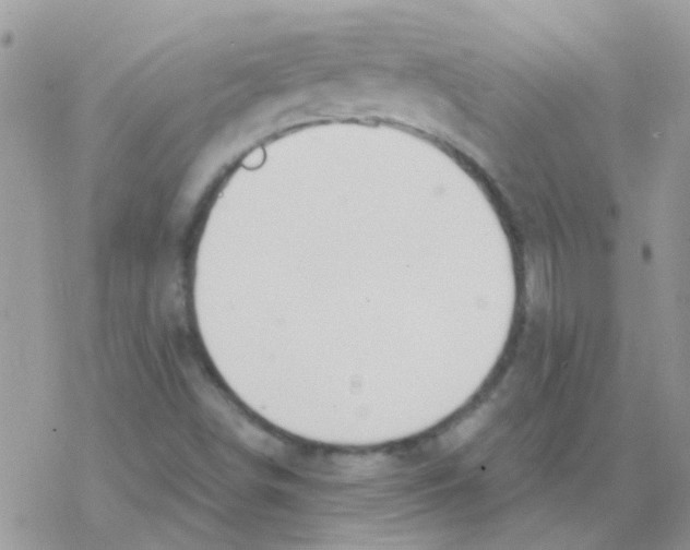 X0000077401498200611172051