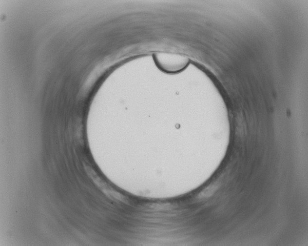 X0000077401499200611172051