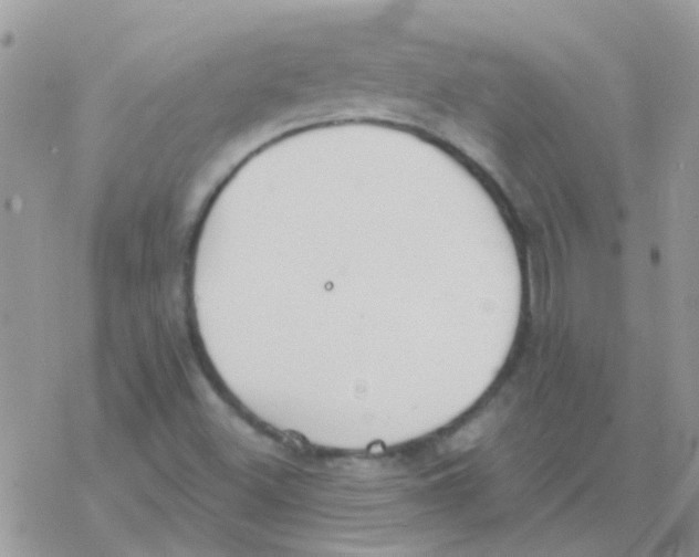 X0000077401500200611172051