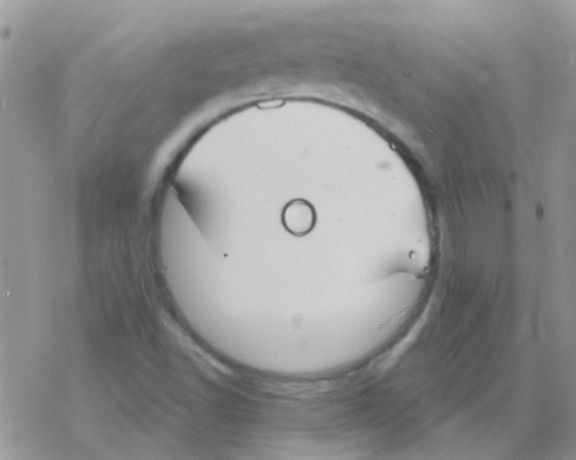 X0000077401502200611172051