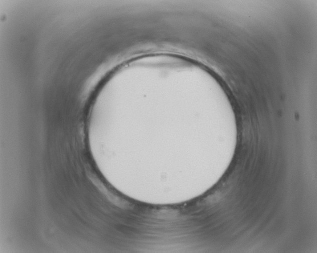 X0000077401503200611172051