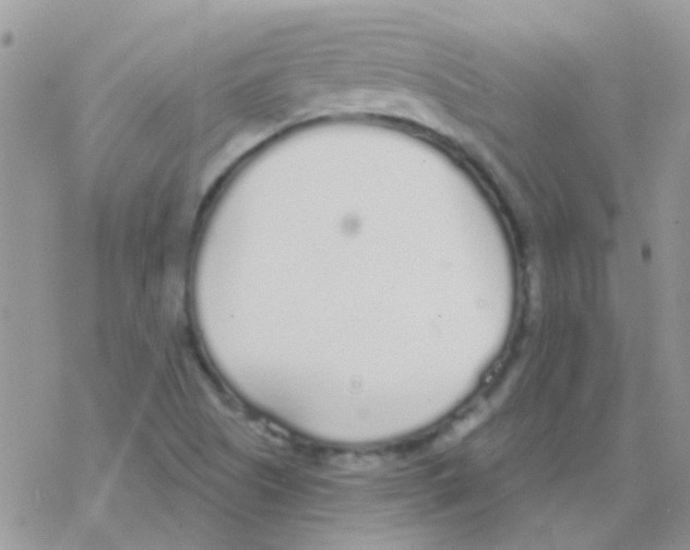 X0000077401505200611172051