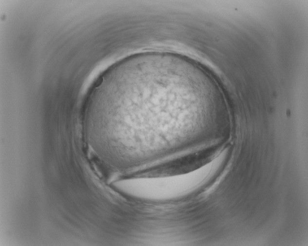 X0000077401506200611172051