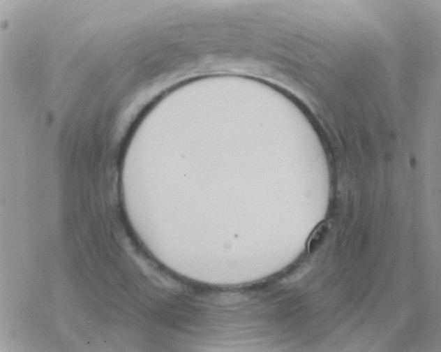 X0000077401507200611172051