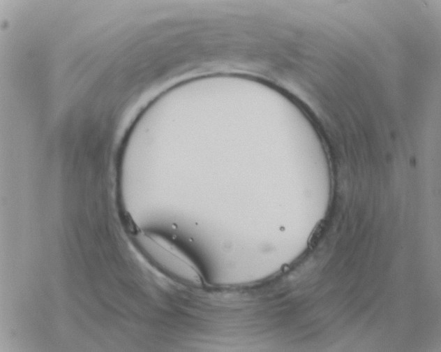 X0000077401508200611172051