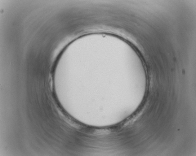 X0000077401509200611172051