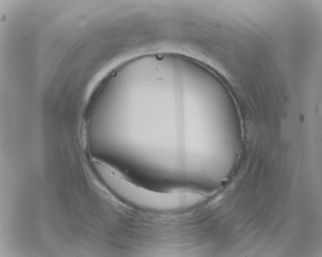 X0000077401510200611172051