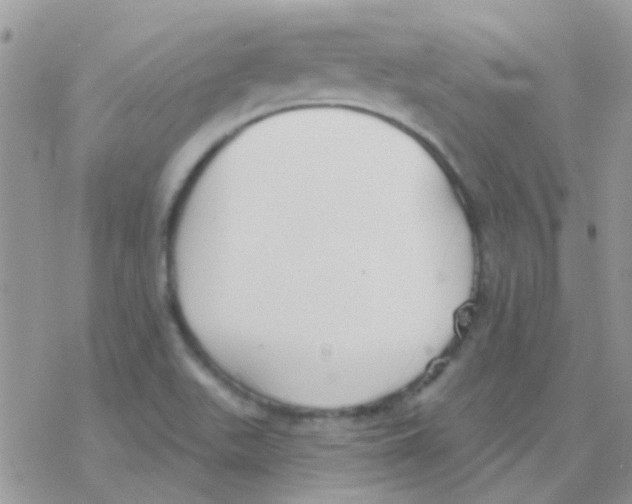 X0000077401511200611172051