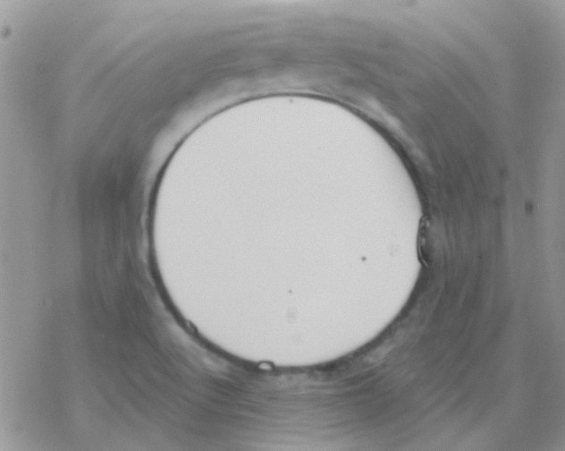 X0000077401512200611172051