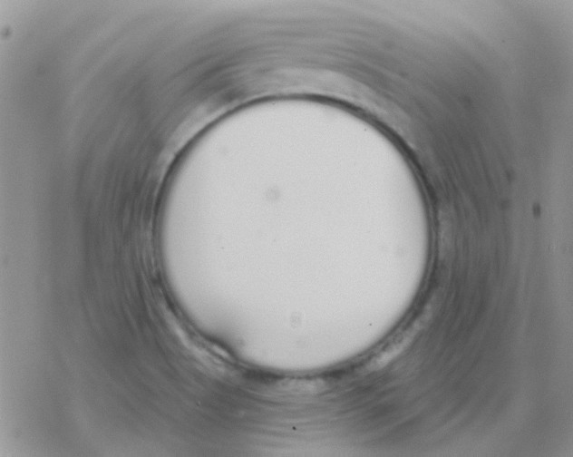 X0000077401513200611172051