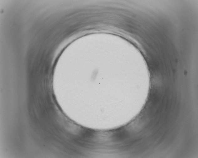 X0000077401514200611172051