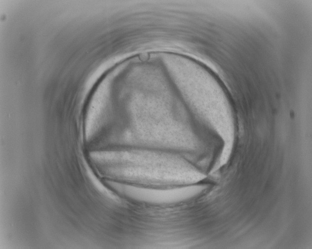 X0000077401515200611172051