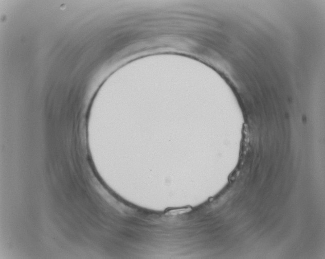 X0000077401516200611172051