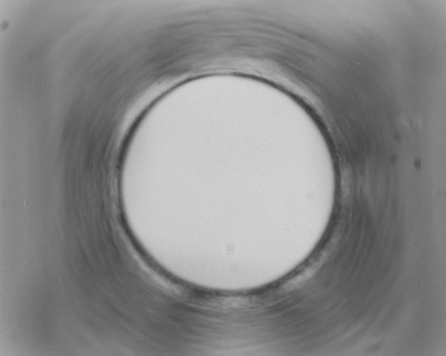 X0000077401517200611172051