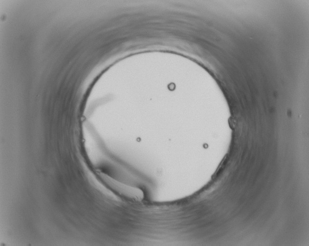 X0000077401518200611172051