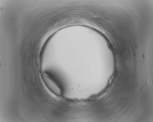 X0000077401519200611172051