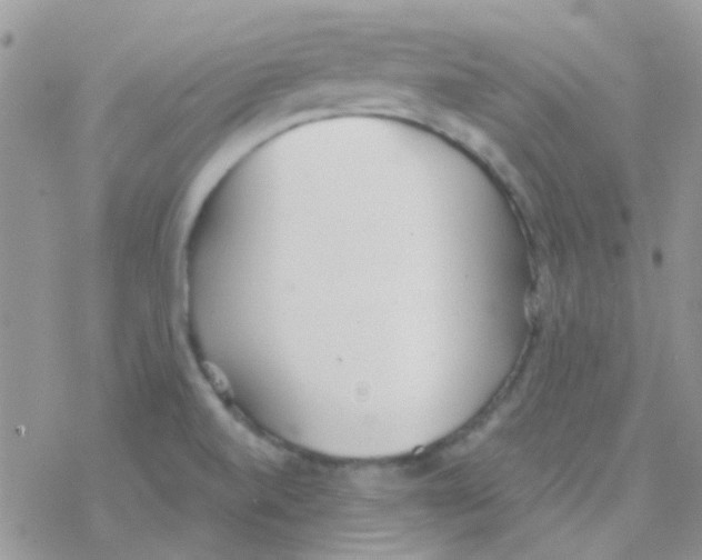 X0000077401520200611172051