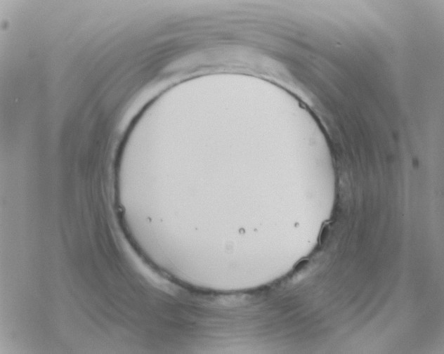 X0000077401523200611172051