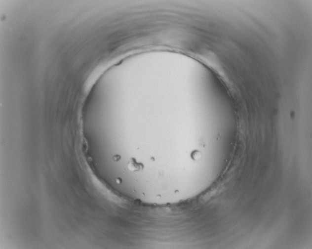 X0000077401524200611172051