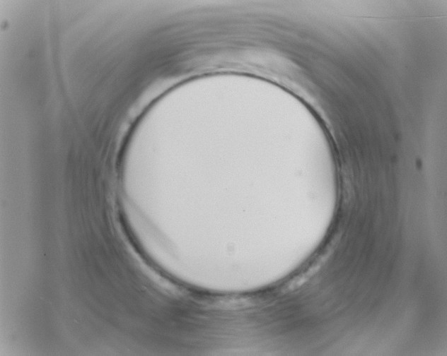 X0000077401525200611172051