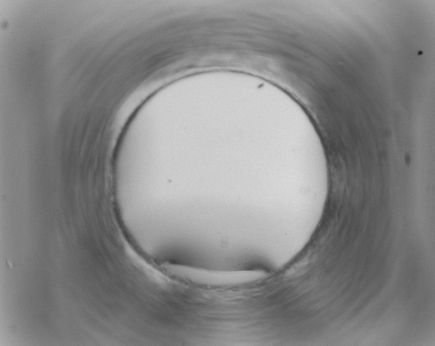 X0000077401527200611172051