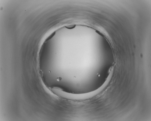 X0000077401528200611172051