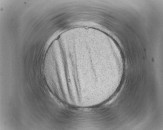 X0000077401529200611172051