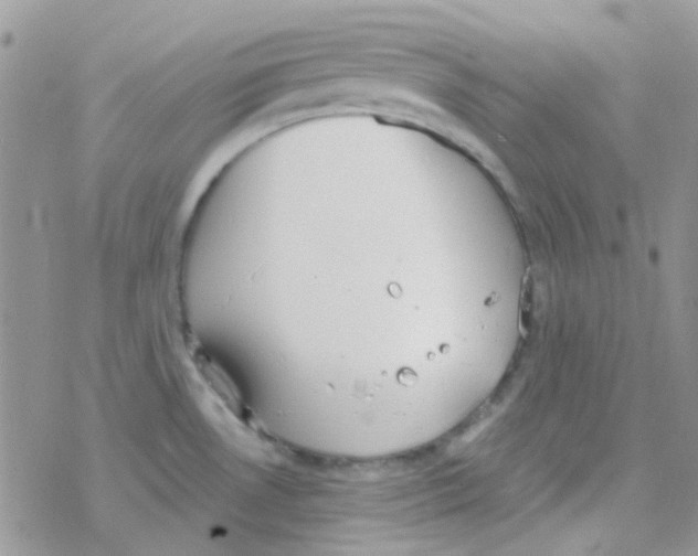 X0000077401530200611172051