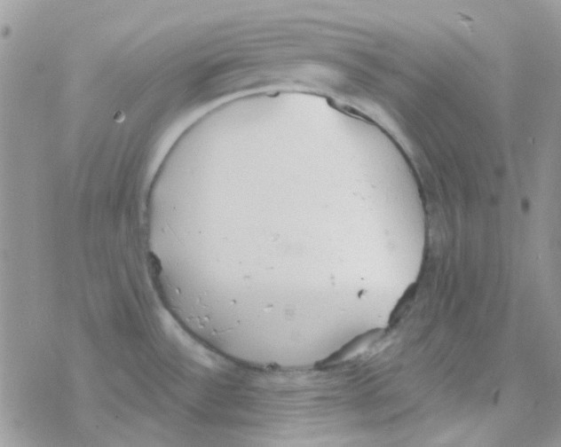 X0000077401532200611172051