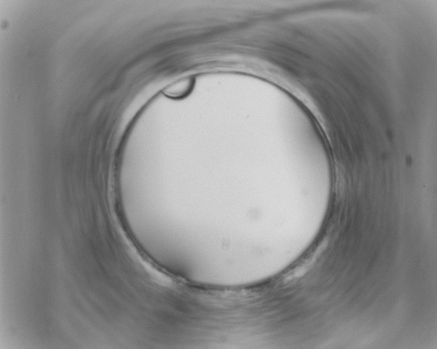 X0000077401533200611172051