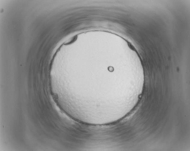 X0000077401534200611172051