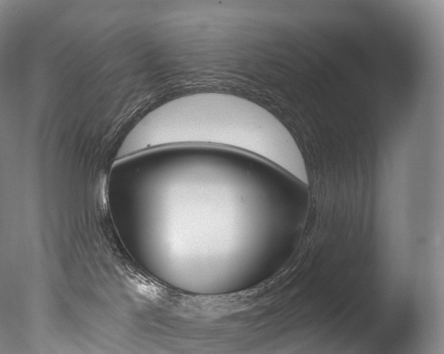 X0000077410041200610201433