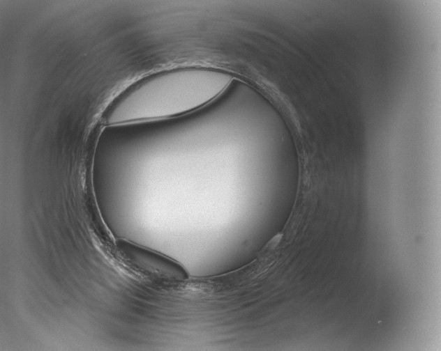 X0000077410060200610201433