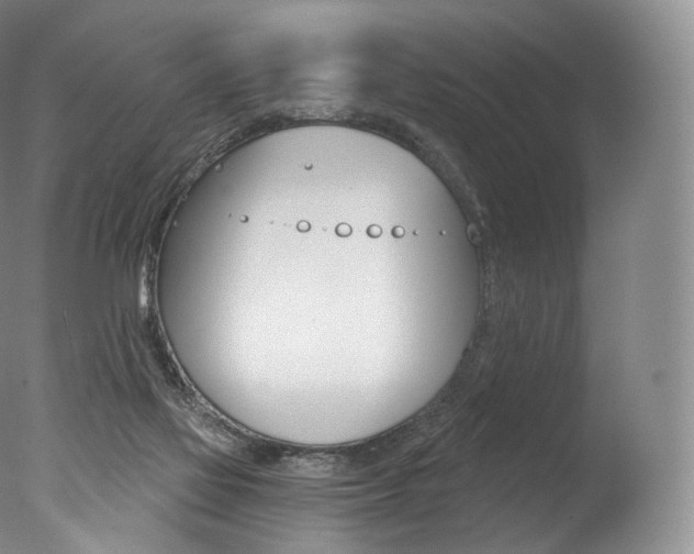 X0000077410069200610201433
