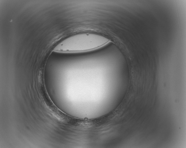 X0000077410071200610201433