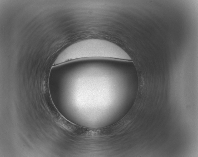 X0000077410080200610201433
