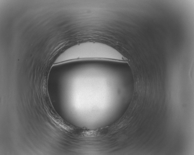 X0000077410092200610201433