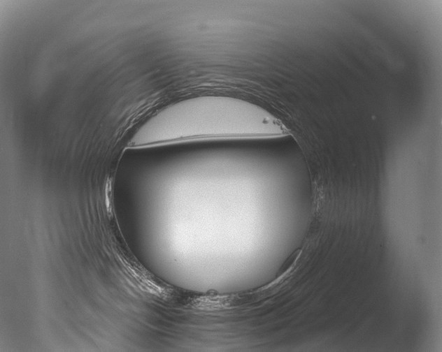 X0000077410094200610201433