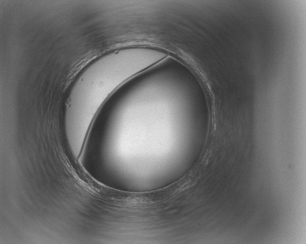 X0000077410105200610201432