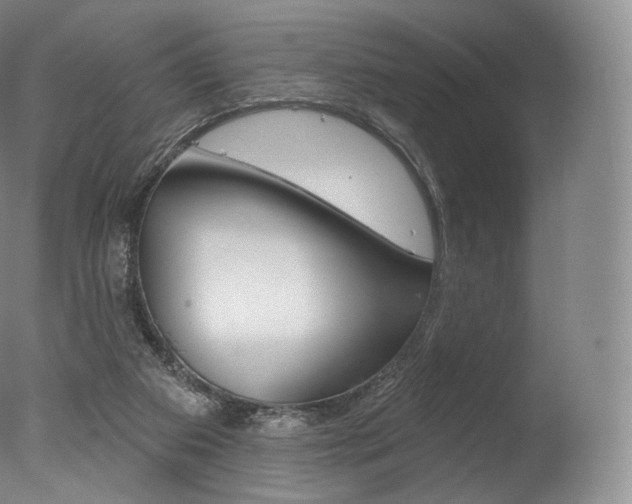 X0000077410113200610201432