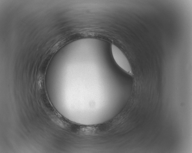 X0000077410125200610201432