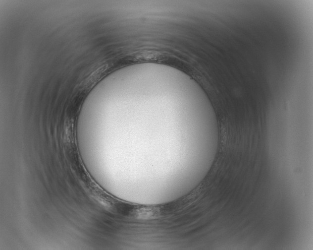 X0000077410126200610201432