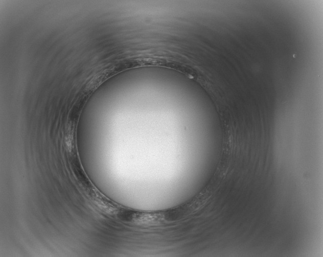 X0000077410129200610201432