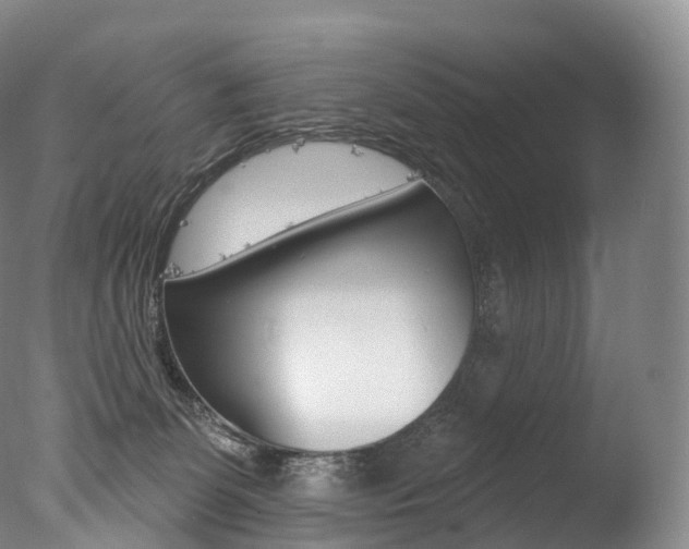 X0000077410131200610201432