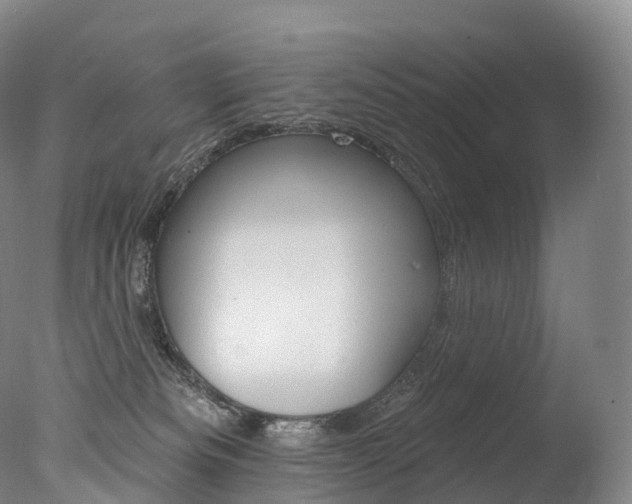 X0000077410133200610201432