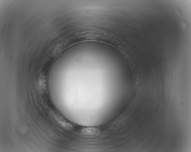X0000077410137200610201432